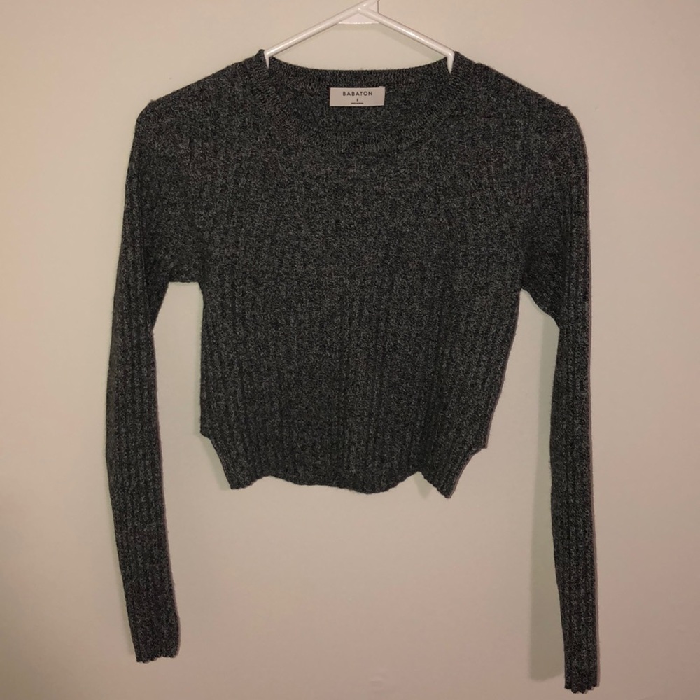 Aritzia Babaton Crop Top
